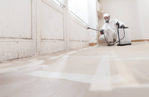 24/7 Emergency Basement Mold Remediation experts in Groveland, MA